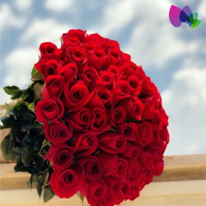 رمانتیک سورپرایز نمی شود